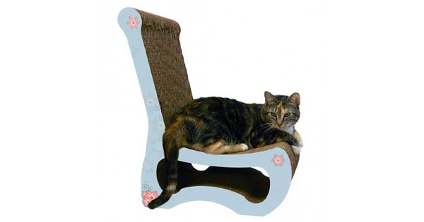 cat scratching chair