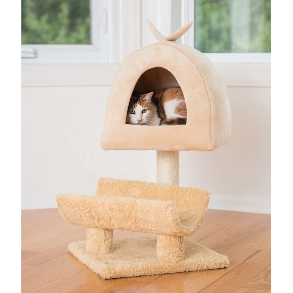Small Cat Furniture for Kittens or Old Cats
