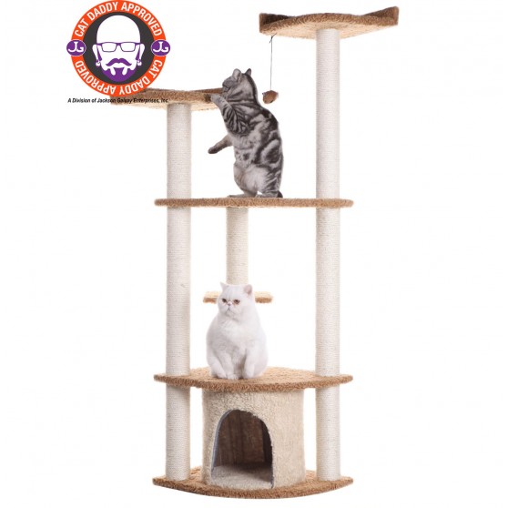 Cat scratching tower approved by Cat Daddy