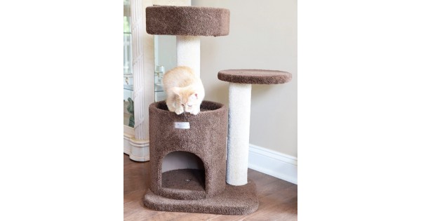 small cat condos