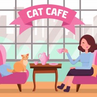 10 Cool Cat Cafes in the U.S. You Have to Visit