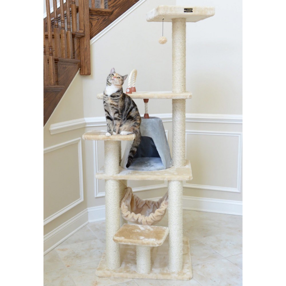 cat climber