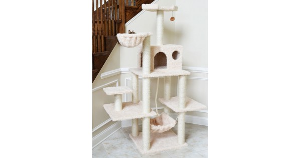 cat condo tower