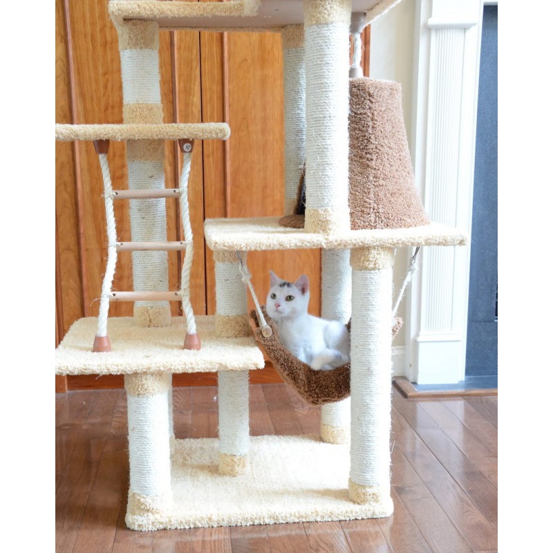 Cat in the hammock
