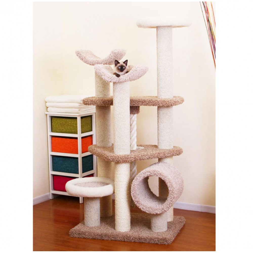 Cat Trees With Carpet at Rodney Woolridge blog