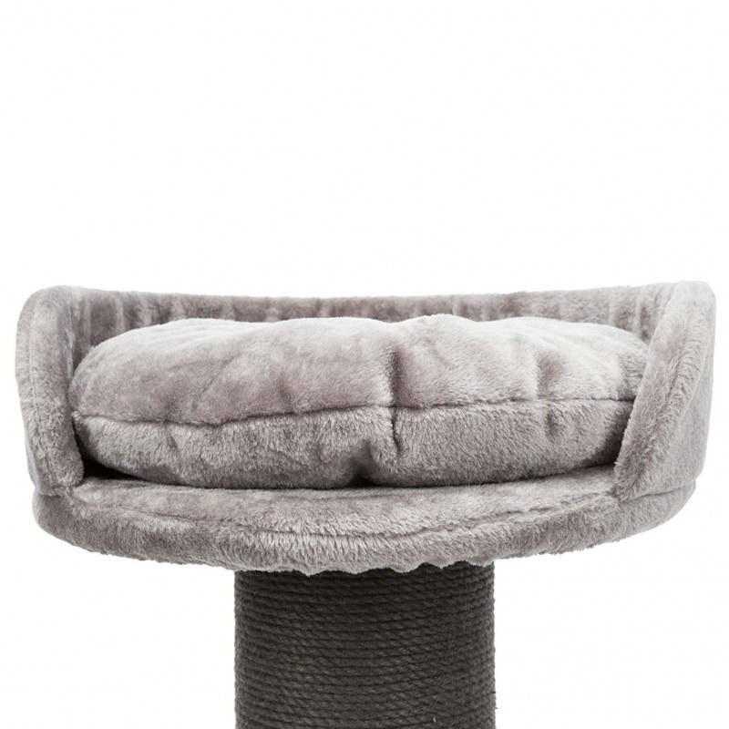 Large bed on top of the scratcher with removable cushion
