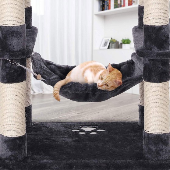 Cat in the hammock