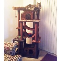 cat-tower-for-large-cats-in-brown1576514046.jpg
