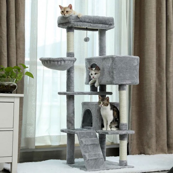 Gray Cat Climbing Tree with Large Perch on Top and Two Condos