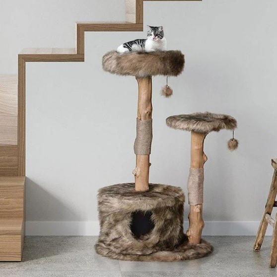 Contemporary Cat Tree with Condo, Solid Wood Poles & Bolstered bed
