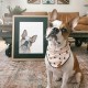 Custom watercolor dog portrait