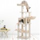 Cat climbing tree