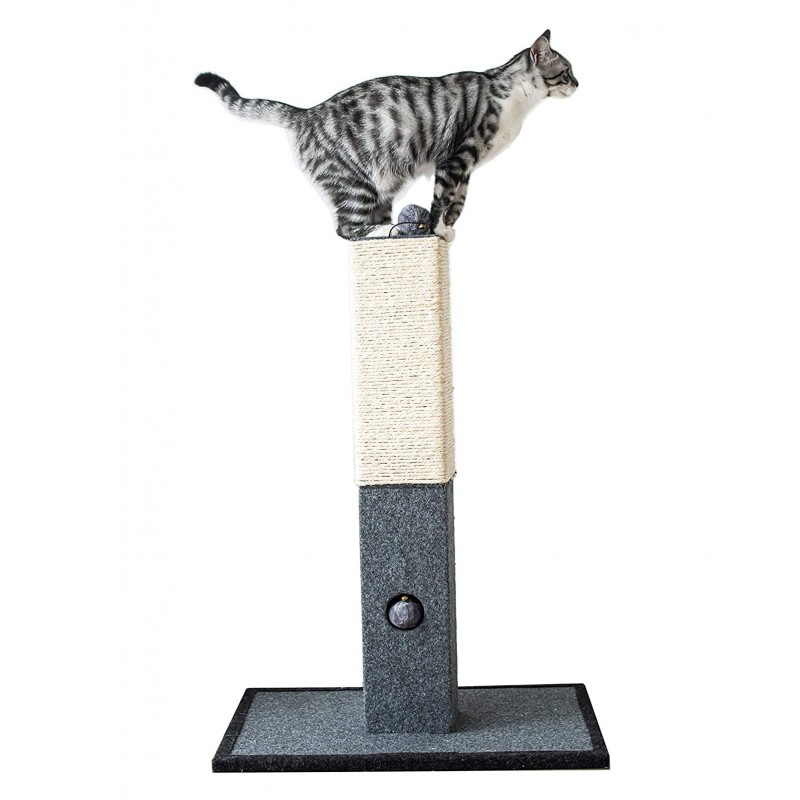 Cat on the post Cat on the post