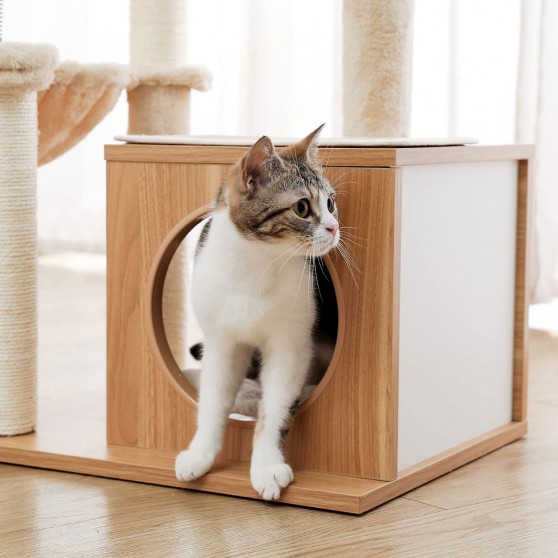Cat condo for hide-n-seek