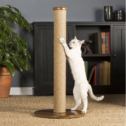 32" Tall Stylish Round Cat Scratching Post for Large Cats 32" Tall Stylish Round Cat Scratching Post for Large Cats