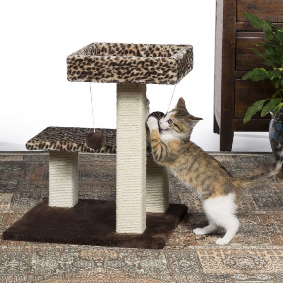 Leopard Cat Perch for Old Cats or Kittens