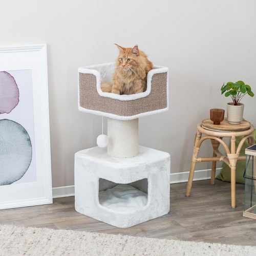 Luxury Cat Condo & Perch for Big Cats