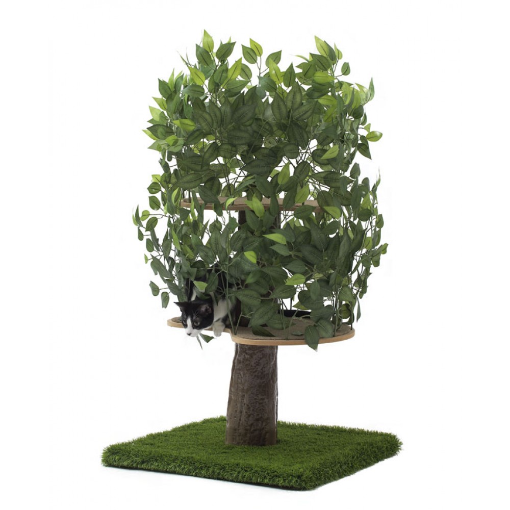 Cat Tree with Leaves and Square Base
