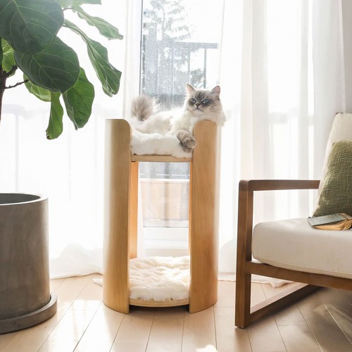 Stylish Wooden Cat Furniture with Soft White Cushion