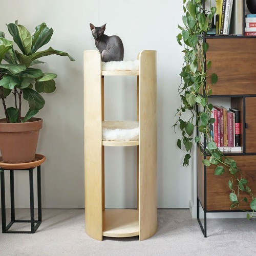 Designer Cat Stand for Large Cats with Soft Cushions