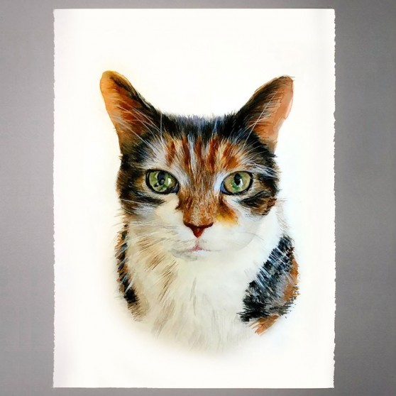 100% hand-painted pet portrait - not framed