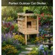 Perfect home for stray and feral cats