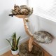Real tree cat tree perch & basket