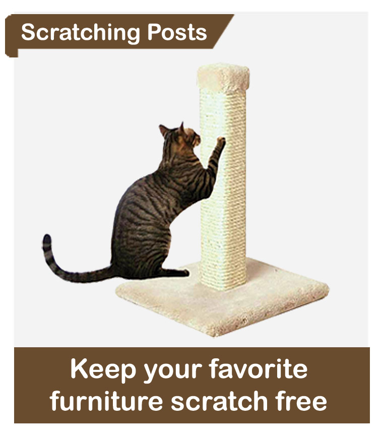 Cat scratching posts that will keep your favorite furniture scratch free