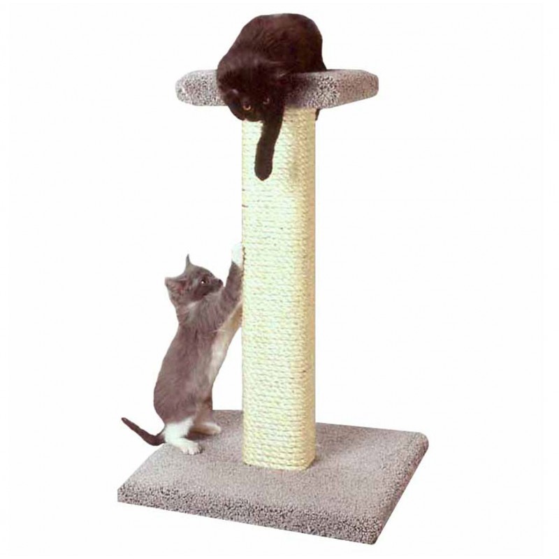 USA Made Cat Perch with Sisal Scratching Post