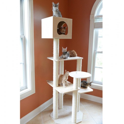 Wooden Multi-level Tree for Indoor Cats with House on Top