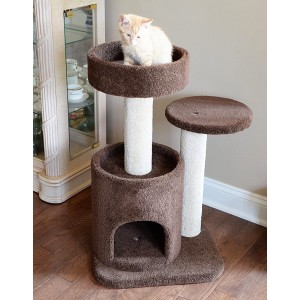 non carpeted cat tree