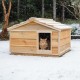 Winter cat shelter for colony of feral cats