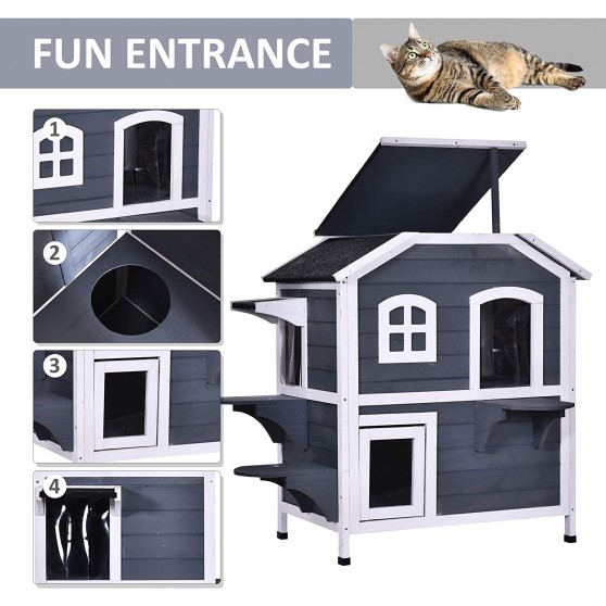 Some doors for cats fun