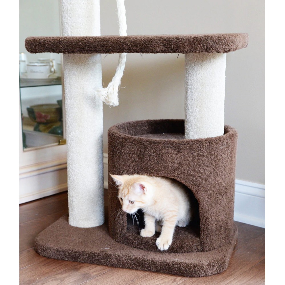Carpet Cat Furniture with Bed, Condo & Hanging Rope