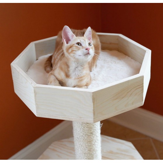 Kitty on perch of the new wooden cat condo