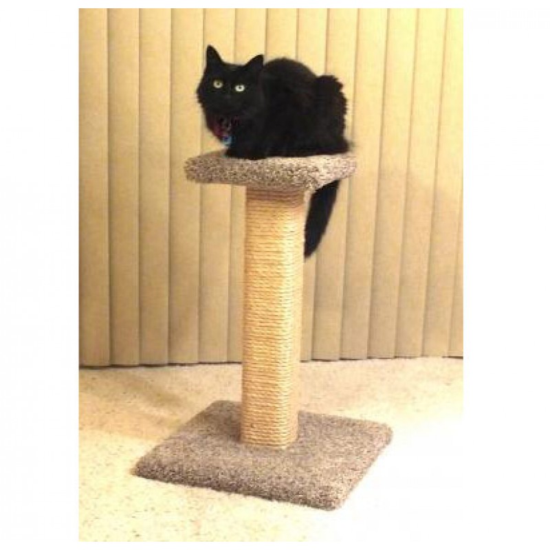 Sisal cat scratcher & perch