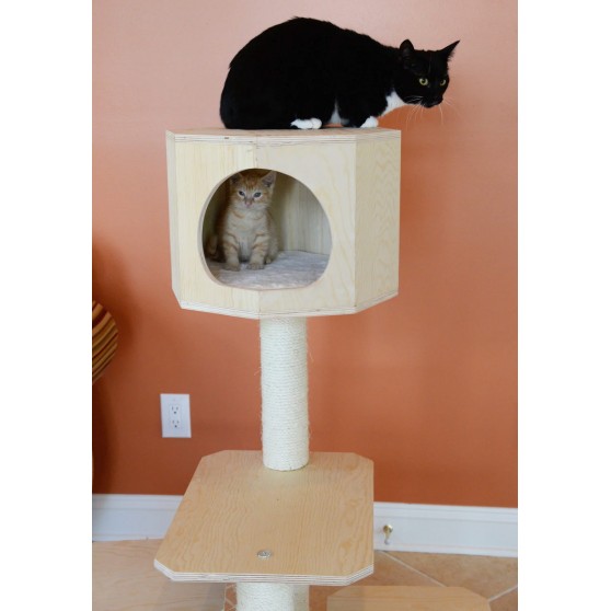 wood-cat-house-on-top-of-tree
