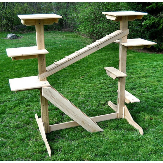 Wooden Outdoor Cat Gym with Ladder and Ramp