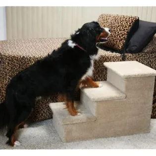 Triple Pet Step for Large Dog