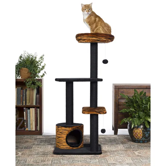 Cat on top of the stand