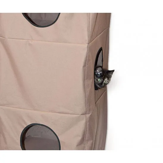 Cat inside the condo