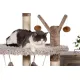 Cat on top platform