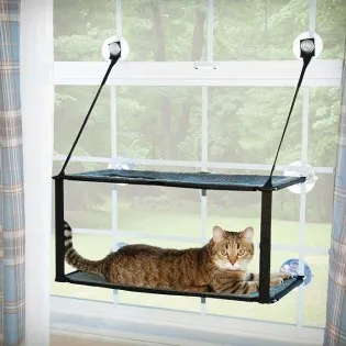Double Cat Hammock for Window