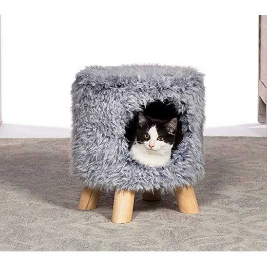 Kitty inside the condo