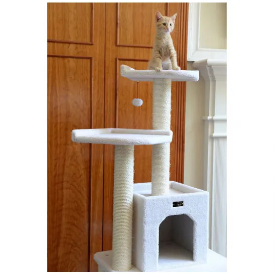 Kitty on the top perch