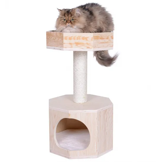 Large cat on top of tree