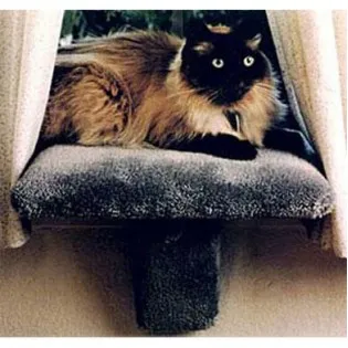 Padded Carpet Window Perch for Small Cats
