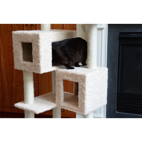 Two houses just perfect for old cats