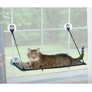 Single Window Hammock for Cats