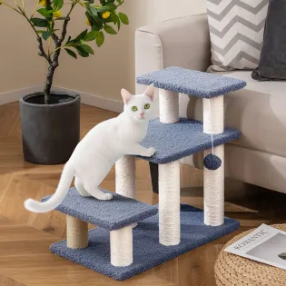 2-in-1 Cat Stairs for Bed and Scratching Posts